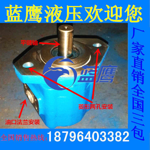 CBY4125 4140 4150 4160 4170 4180 4190 4200长江型齿轮油泵A1FR