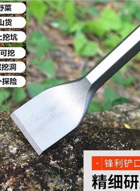 不锈钢柄铲挖蒜的小铲子挖野菜神器荠菜园艺松土挖土户外除草工具