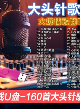 大头针歌曲u盘泪海经典老歌曲ai翻唱专辑车载音乐MP3音频优盘