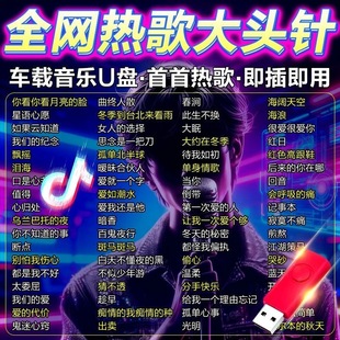 2026热歌大头针歌曲U盘泪海经典老歌曲AI翻唱专辑车载音乐MP3优盘
