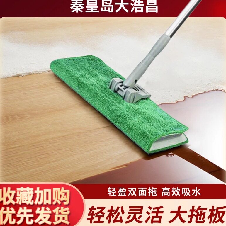 高效轻盈拖把干湿两用保洁专供图片