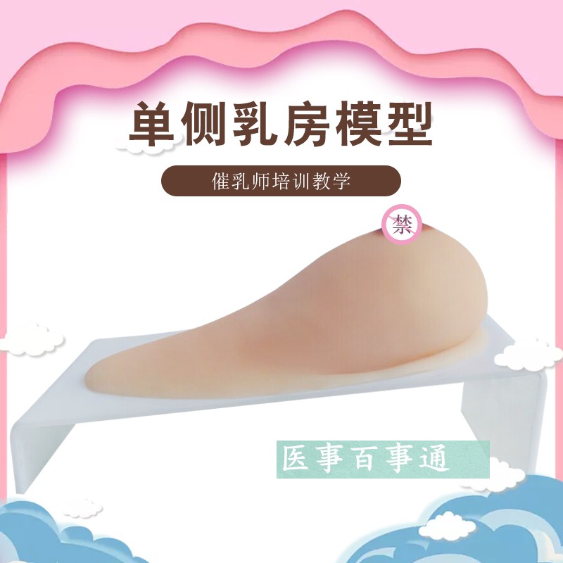 乳房女性乳房枪模义乳假乳催乳师培训玩具枪哺乳教学模型(纯硅胶)