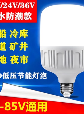 12V24V36V伏低压直流节能led灯泡E27螺口矿井冷库工地太阳能灯