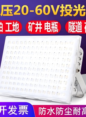 LED低压交流直流24v36v48v伏投光灯户外防水矿井渔船用工地蚂蚁灯