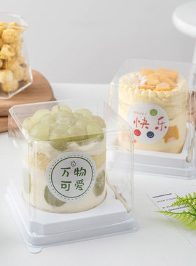 一人份迷你蛋糕吸塑盒子
