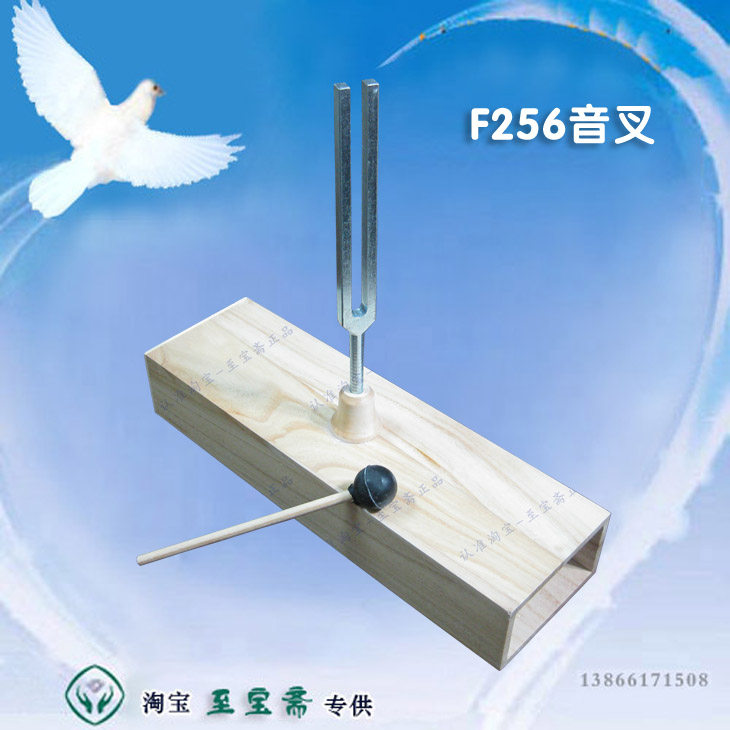 F256HZ 音叉 物理仪器 教学仪器 全套音箱带共鸣 256赫兹物理声学