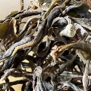 云南西双版纳易武瑶族丁家寨头春茶小树茶普洱茶