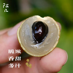 阿几 精选兴化新鲜龙眼 松风本龙眼 特级大果 脆甜多汁 顺丰包邮