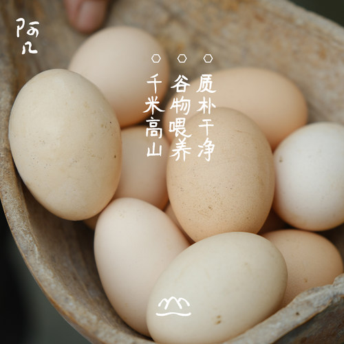农家土鸡蛋谷物喂养跑山鸡鸡蛋