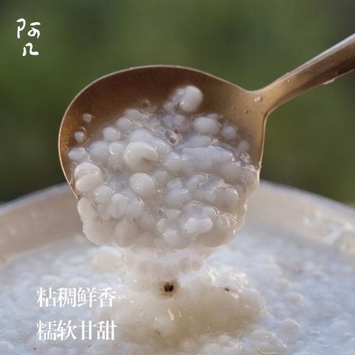 阿几 精选宁化糯薏米 软糯 清甜 去湿气 现碾现发不打药