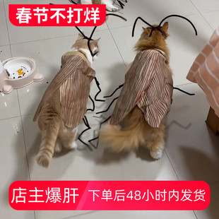 纯情蟑螂火辣辣搞怪同款条纹衣服DIY手工衣网红猫咪蟑螂衣服
