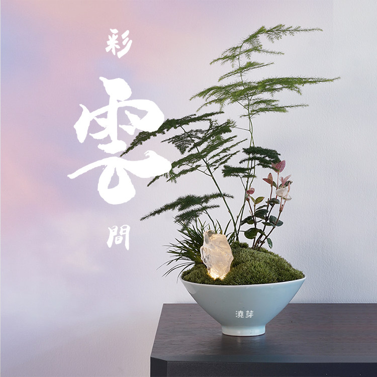 {彩云间}创意盆景茶桌室内案头客厅酒店样板房文竹菖蒲盆栽