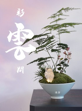 客厅样板房文竹菖蒲盆景