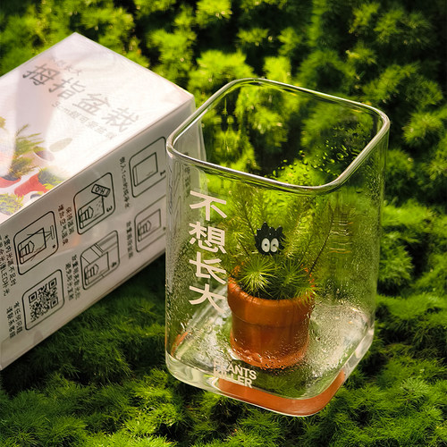 PlantKiller苔藓拇指盆栽超可爱