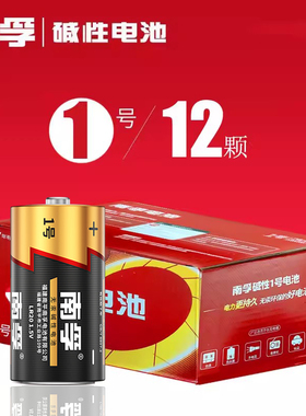 南孚1号电池一号燃气灶电池LR20大号1.5v热水器煤气灶碱性五七号