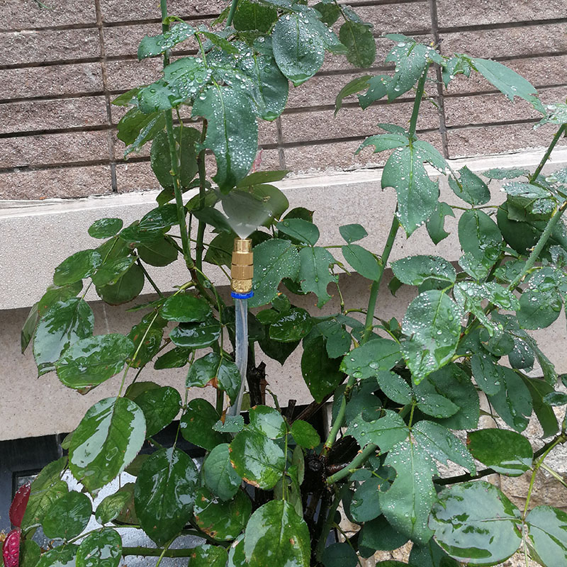 自动喷水浇花园别墅智能懒人浇花器浇水喷淋雾化灌溉树冠喷头喷嘴