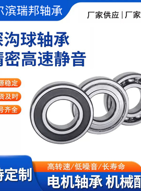 哈尔滨瑞邦轴承6200 6201 6202 6203 6204 6205 6206 6207 -2RZP5