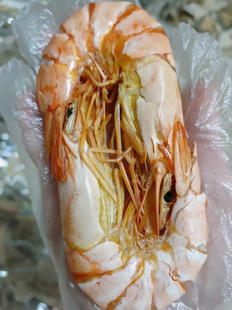 汕尾特产九节虾干 原晒鲜甜烤虾干即食淡干虾干货孕妇零食500克