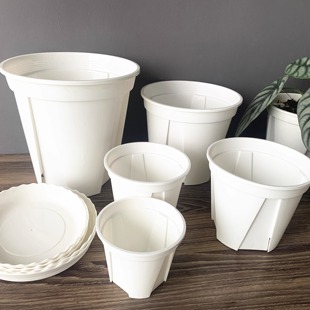 白色青山盆排水透气控根盆白青山大尺寸热绿植圆形大塑料花盆托盘