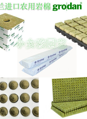 荷兰进口农用无土栽培扦插育苗块