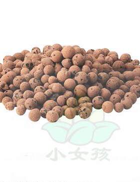陶粒无土栽培保水保肥