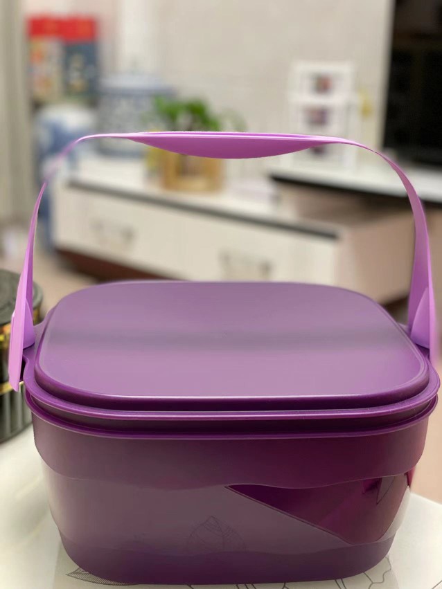 特百惠蛋糕盒 6升 便携 菜篮果篮 冷藏  进口代购