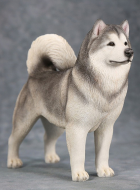 JXK 1/6阿拉斯加雪橇犬模型 仿兵人动物狗狗潮玩周边创意手办
