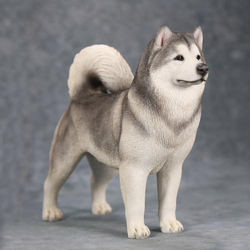 JXK 1/6阿拉斯加雪橇犬模型 仿兵人动物狗狗潮玩周边创意手办