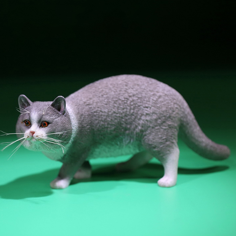 【JXK】英国短毛猫模型手办
