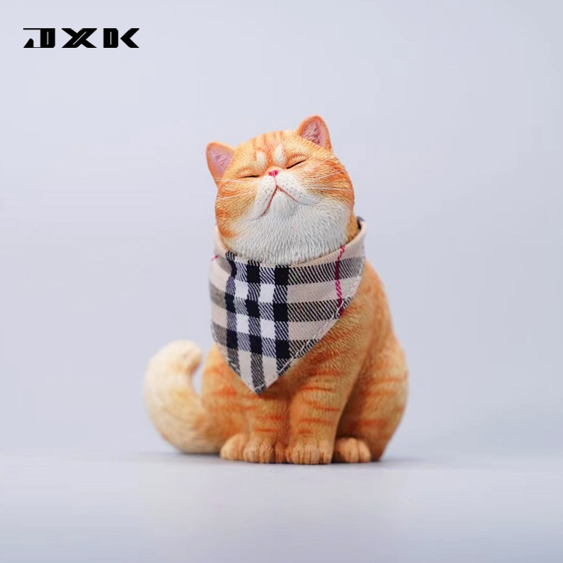 JXK现货中国猫咪加菲猫