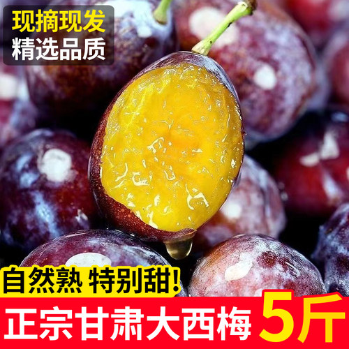 【拍3斤发5斤】甘肃西梅5斤新鲜甜西梅当季水果孕妇宝宝蓝蜜西梅