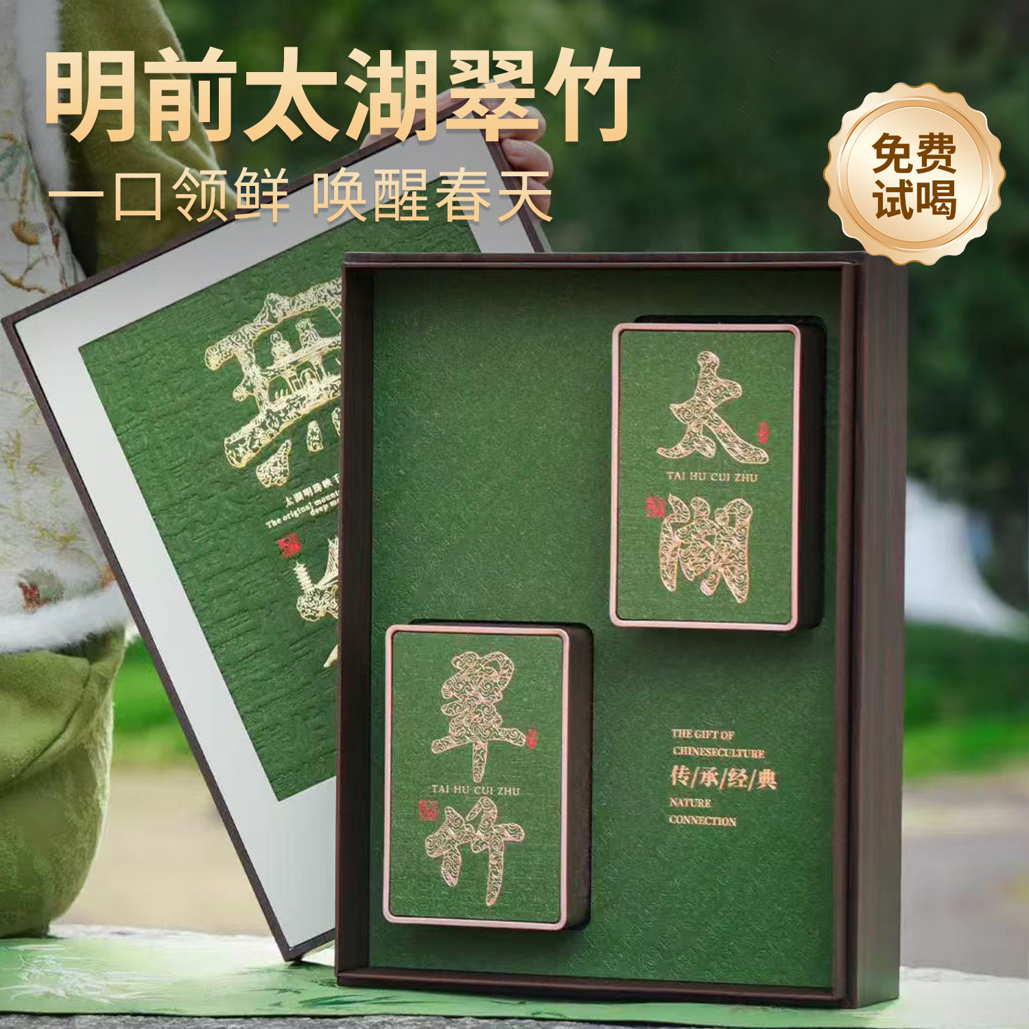 太湖翠竹2026年新茶明前无锡特产级春茶叶清香型全芽中秋节送老师图片