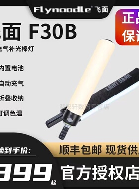 flynoodle飞面 F30B充气补光灯气柱灯便携式手持灯棒人像夜景室内发丝打光棒灯拍照拍摄直播LED冰灯柔光灯30W