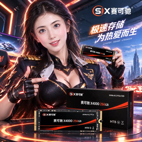 赛可驰 X4000 256G M.2 NVMe PCIe3.0 高速 SSD 固态硬盘
