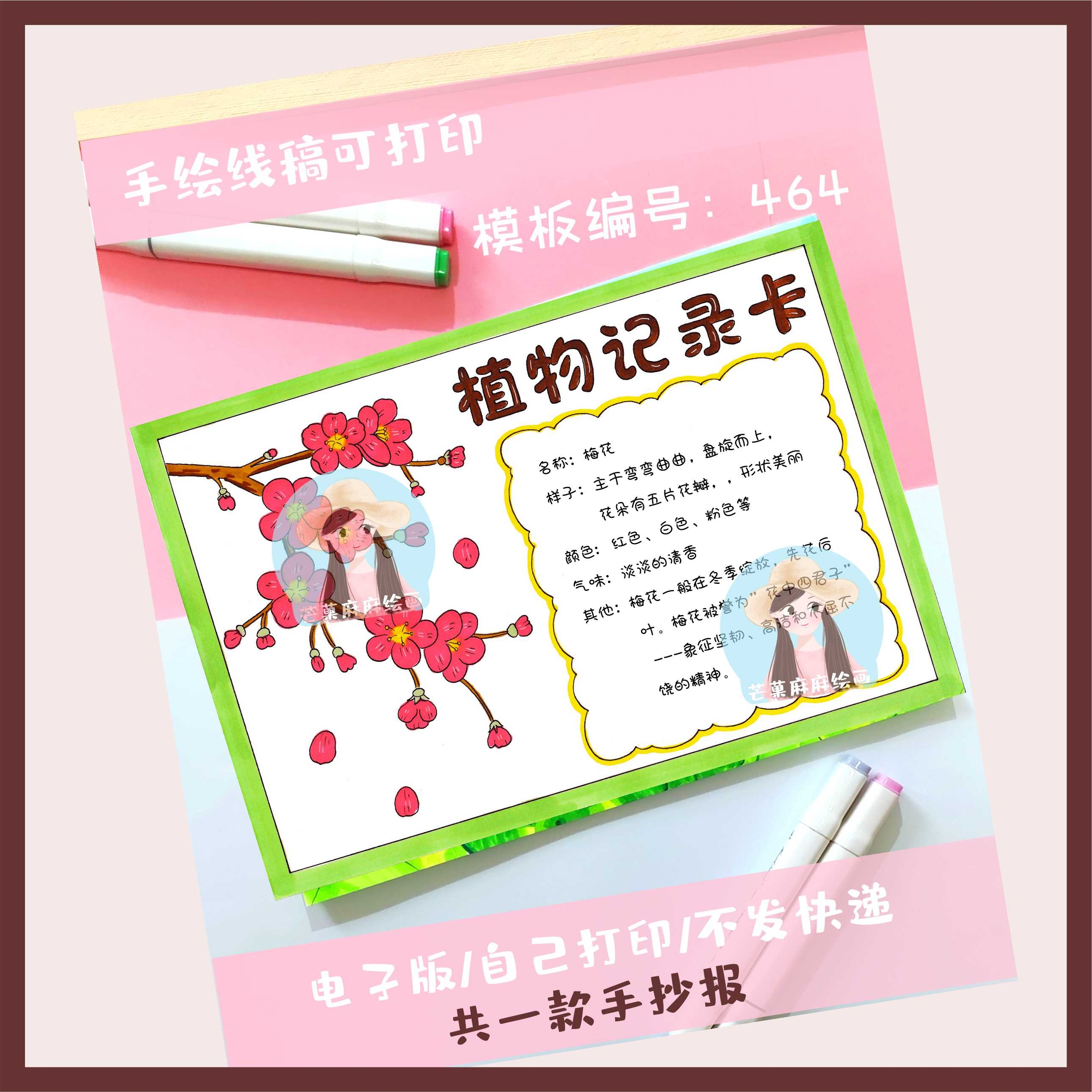 464 梅花植物记录卡手抄报观察记录卡植物名片模板电子线稿