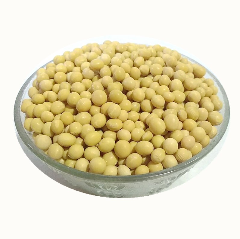 新豆东北农家自种笨黄豆黑龙江黑河大豆生豆芽打豆浆5斤