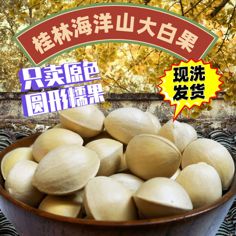 新鲜大白果特级银杏果5斤带壳桂林海洋乡老树生百果 白果仁饱满|ruв категории закуски/орехи/специальность, ореховый/орехи/жареные семечки, гинкго/гинкго - от Buy2taobao.com для оказания профессиональной услуги покупки агента Taobao
