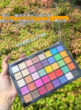 40色眼影珠光哑光钻闪舞台妆高饱和彩妆盘眼影盘化妆师超大容量