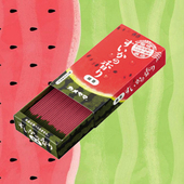 日本龟山夏季 限定西瓜线香香薰家用卧室趣味香氛舒缓净化熏香