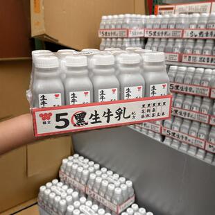新品 南京Costco开市客代购 味全五黑生牛乳牛奶饮品240ml*15瓶