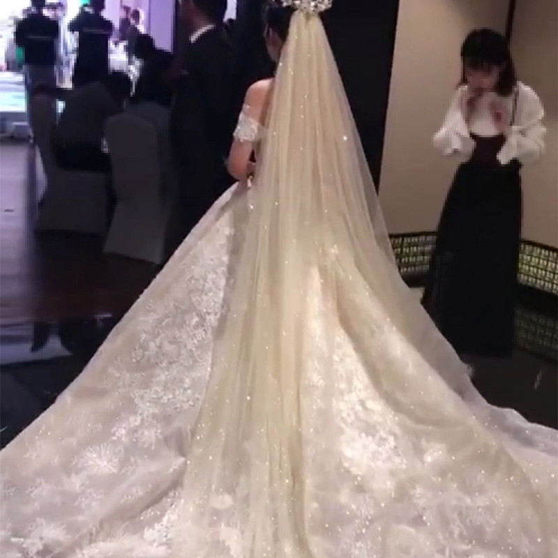 抖音同款闪亮拖尾头纱超仙森系双层造型新娘婚纱头饰韩式亮片头纱热销500件需要用券