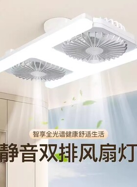 新款极简现代双头风扇灯客厅卧室吊灯带风扇LED照明静音