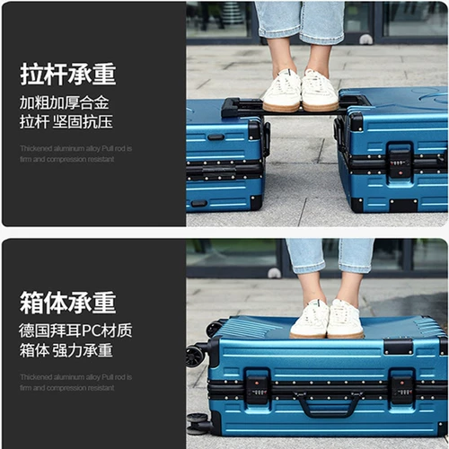 Кенгуру, акула, универсальный чемодан для школьников, 20 дюймов, 24 дюймов, поворотные колеса