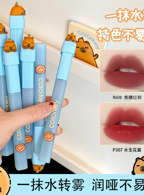 Colorkey珂拉琪水雾唇露唇釉哑光雾面丝绒卡皮巴拉不易沾杯B360