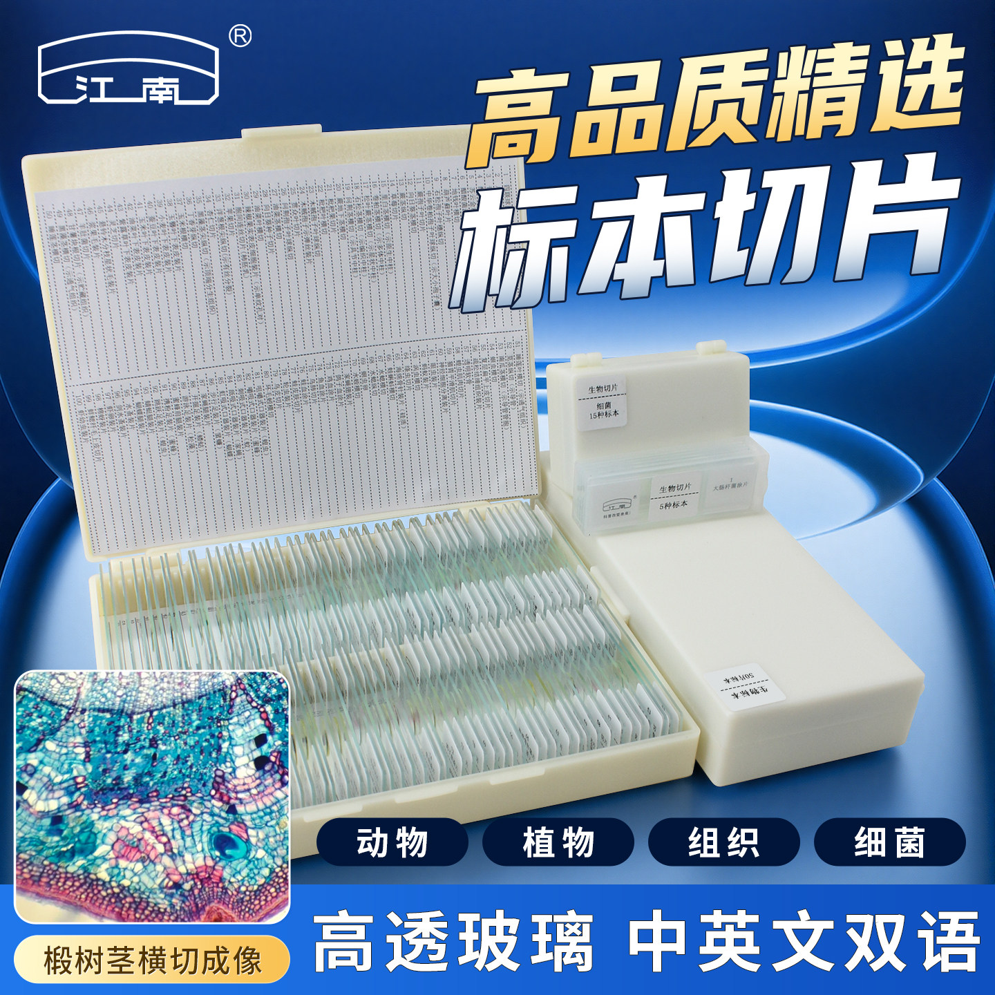 显微镜教学植物细胞标本切片图片