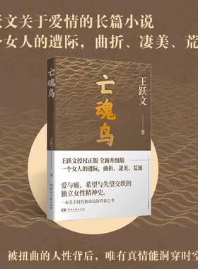 亡魂鸟-王跃文-平装-内外双封-烫金-32开