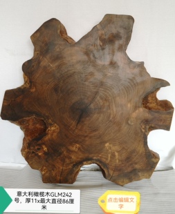 意大利橄榄木年轮242