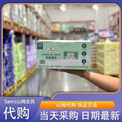 山姆会员代购 卫生湿巾 20包10片 小巧轻盈便携装 共200片