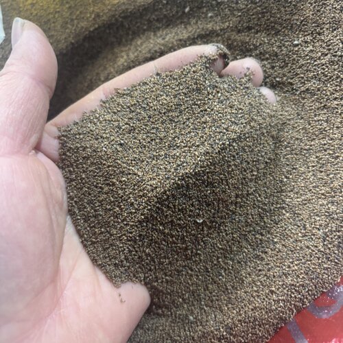 延边朝鲜族野苏子种子新货种植用东北野苏子籽野苏子调料种子