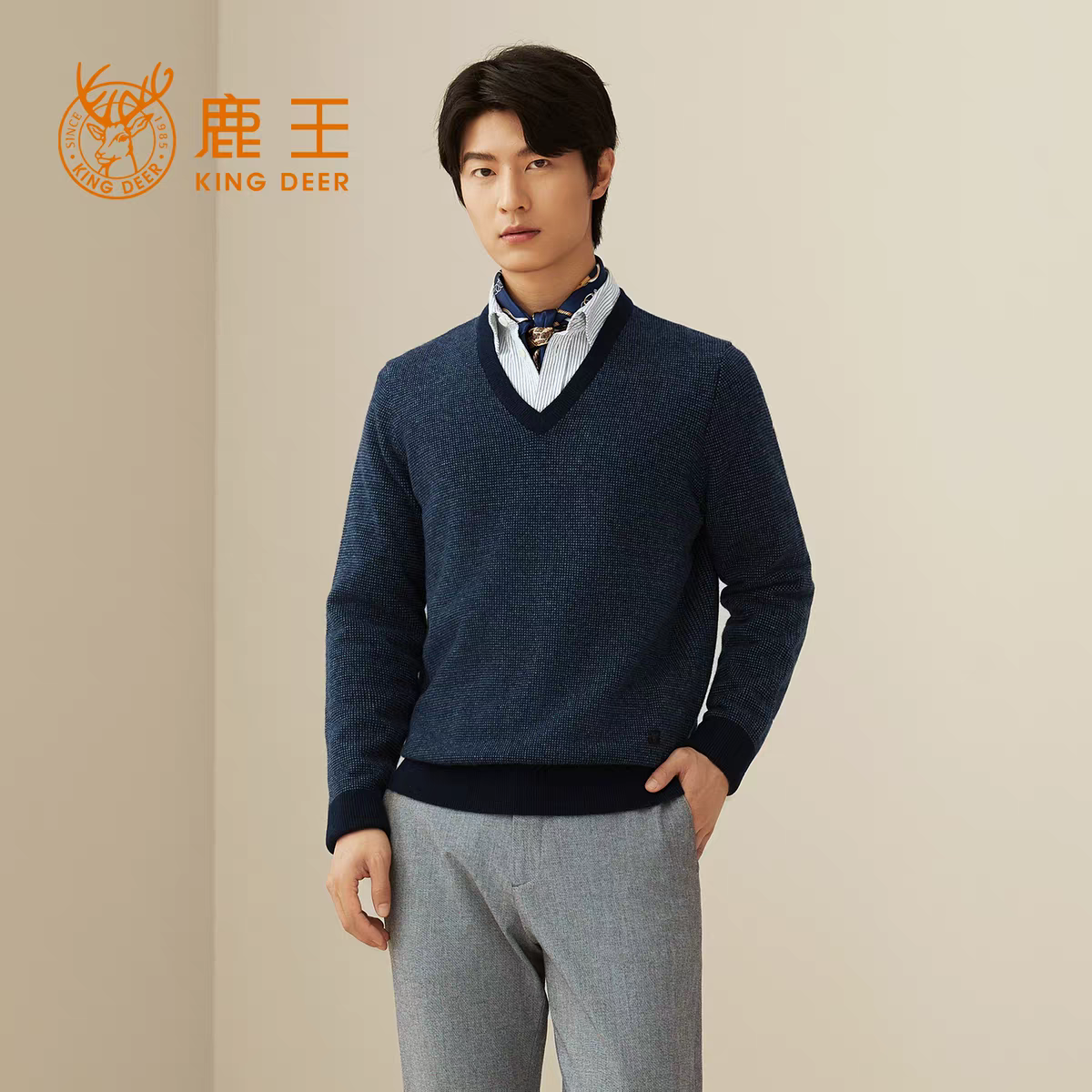 鹿王男士V领纯山羊绒衫秋冬季百搭保暖休闲简约交织正装商务毛衣